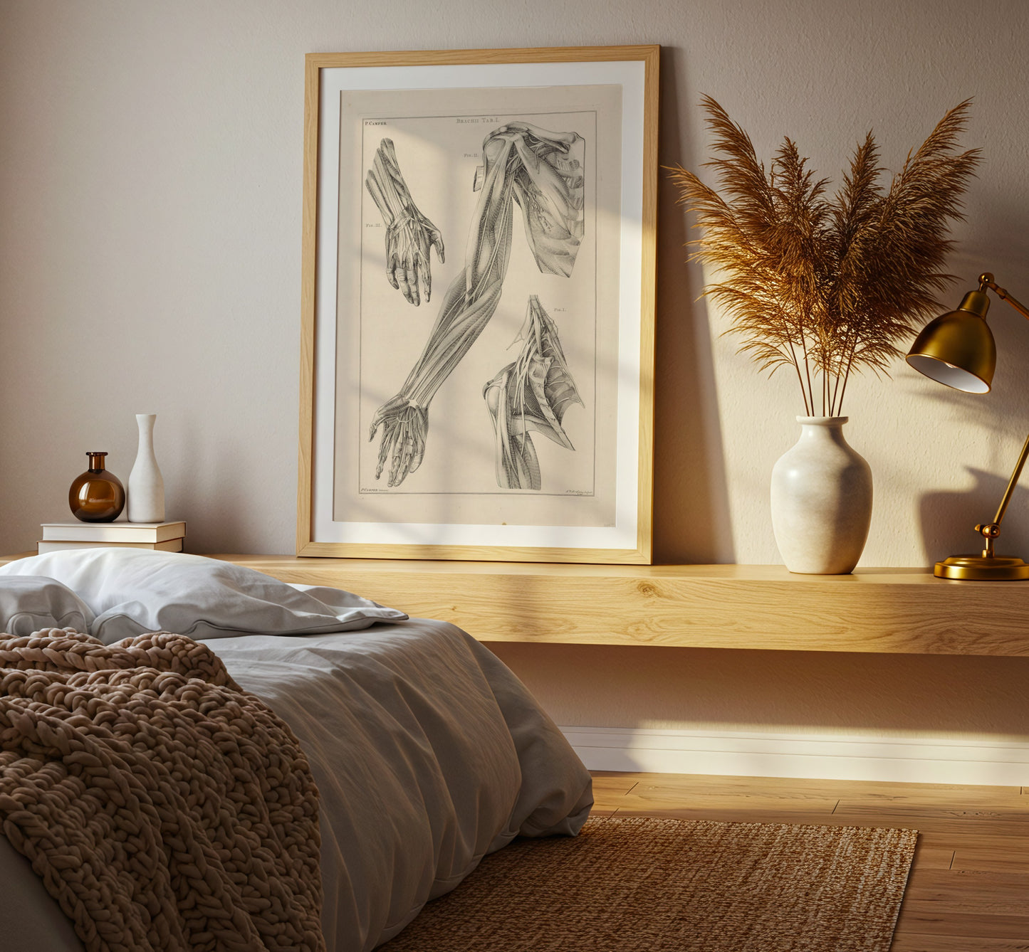 Anatomy of the Arm, Hand, and Shoulder