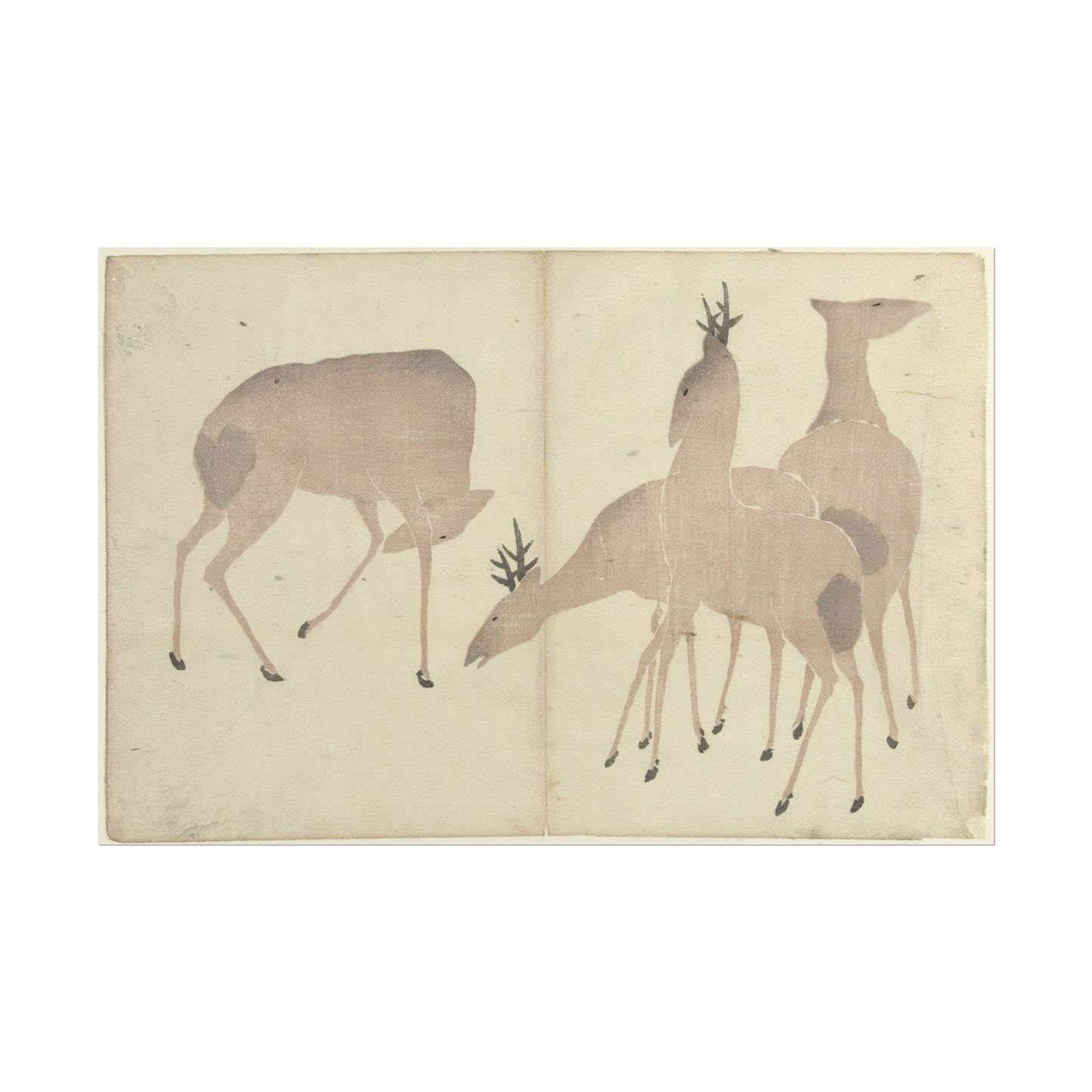 Four Deer