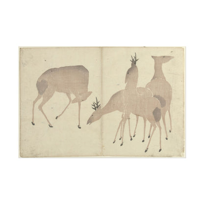 Four Deer