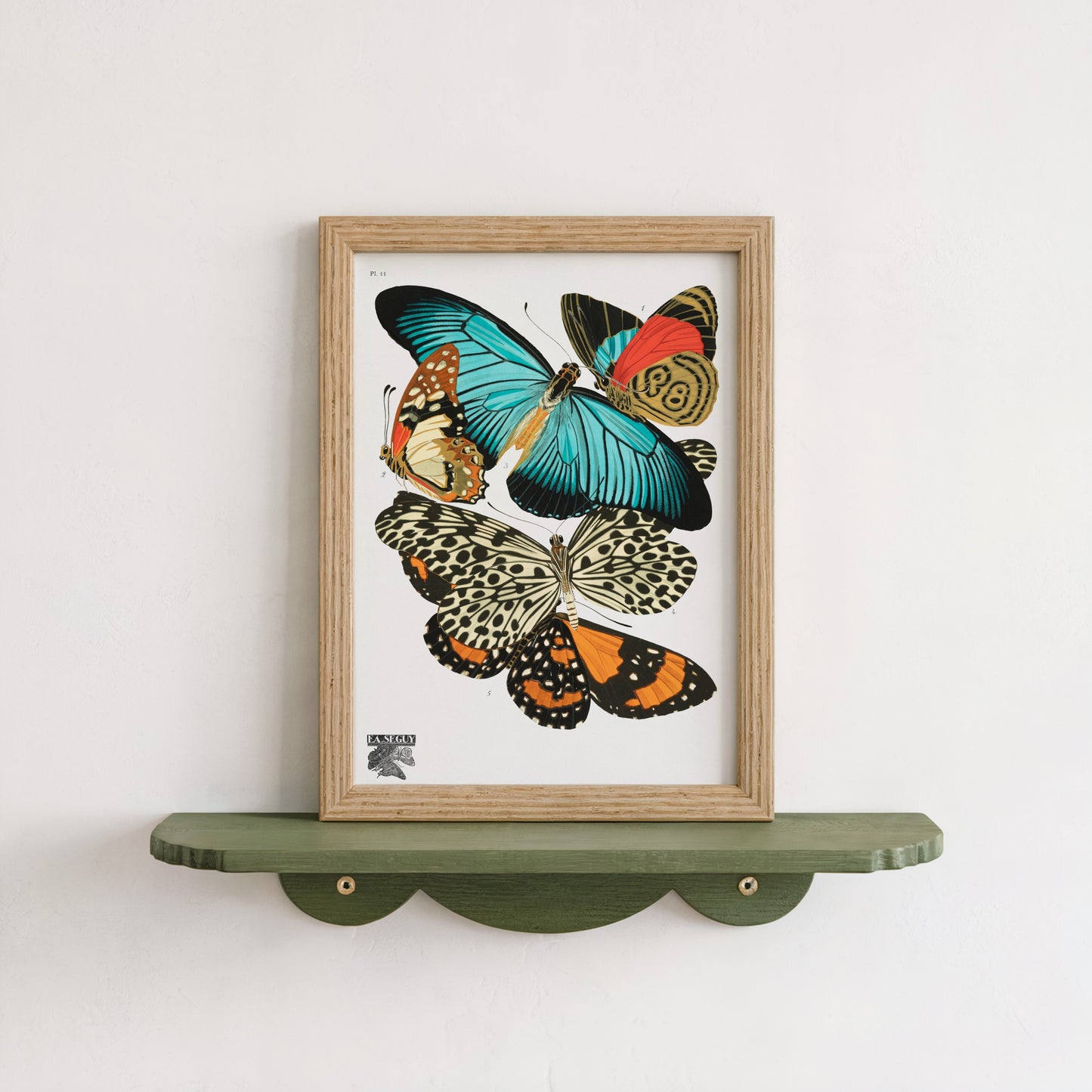 Vintage Butterflies