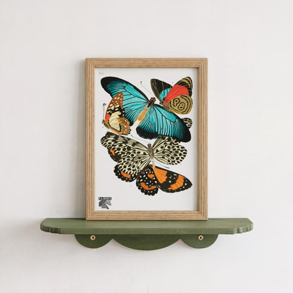 Vintage Butterflies