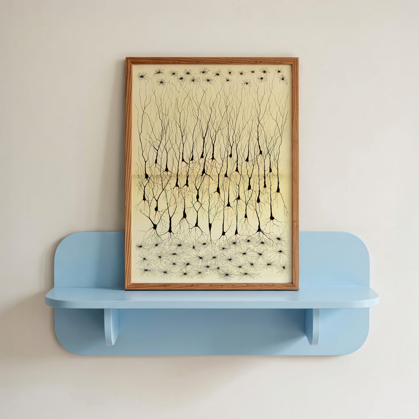Neuron Drawing