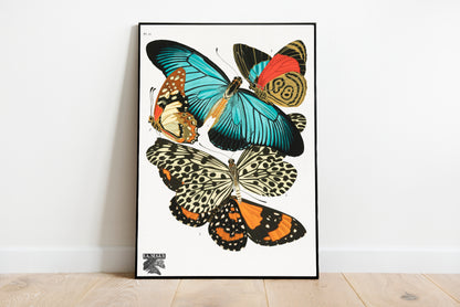 Vintage Butterflies