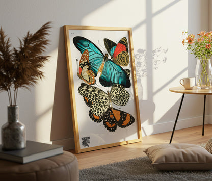 Vintage Butterflies