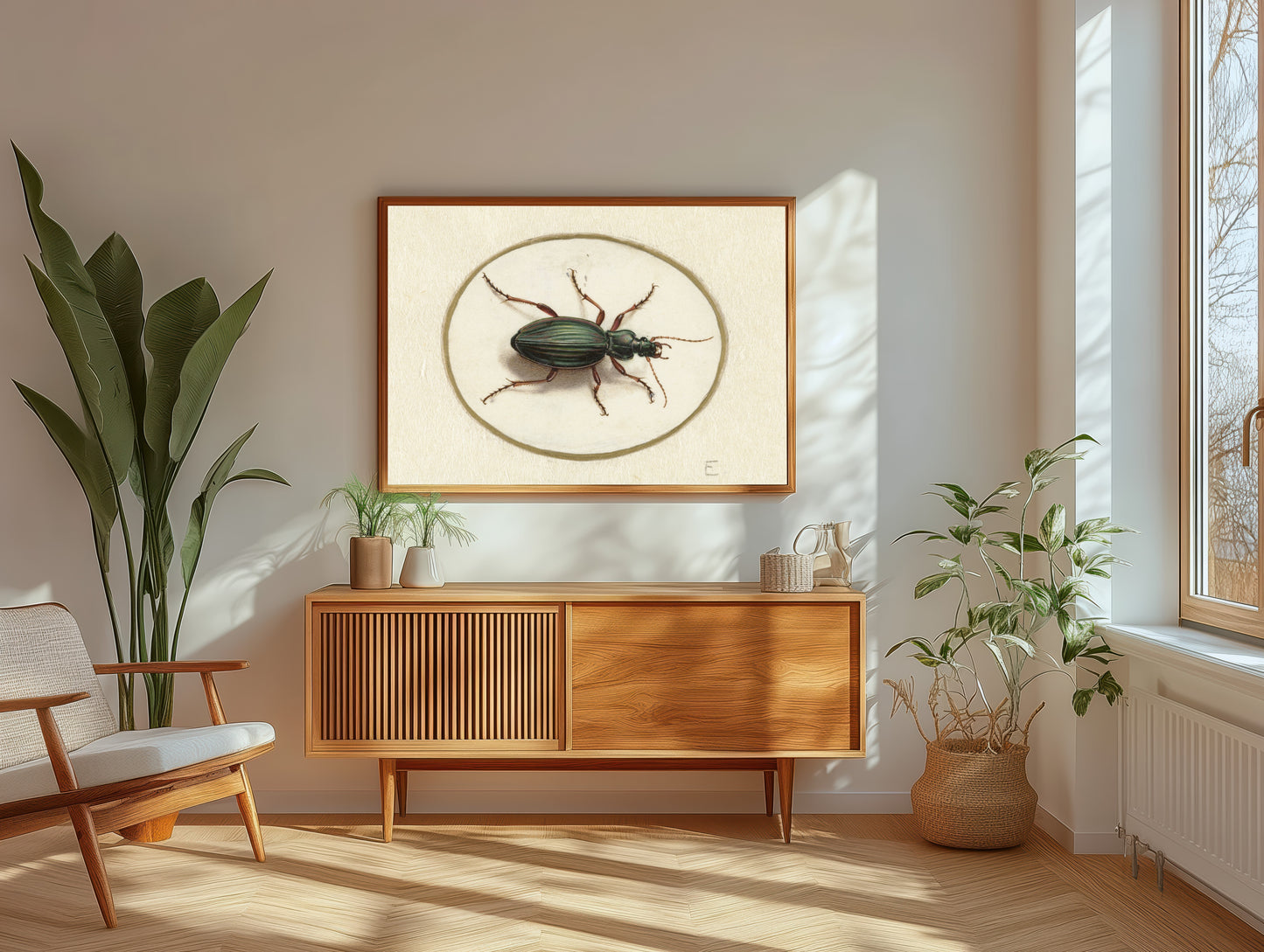 Elegant Beetle Study