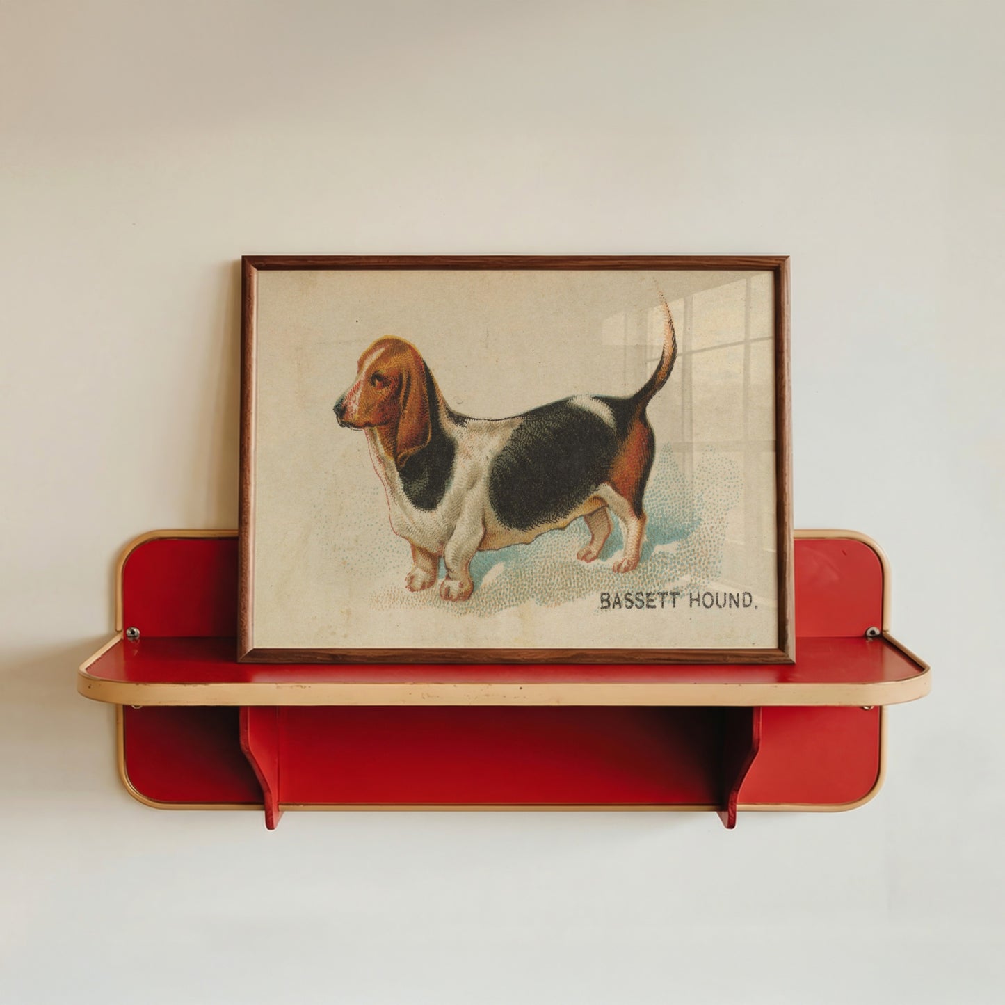 Bassett Hound Illustration