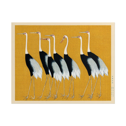 Japanese Cranes poster by Ogata Korin  - 11x14 inch print