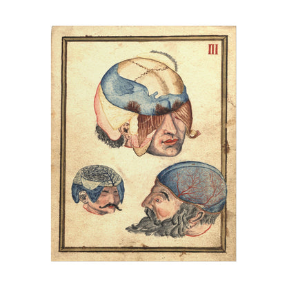 Watercolor illustration of three anatomical heads with unique designs.