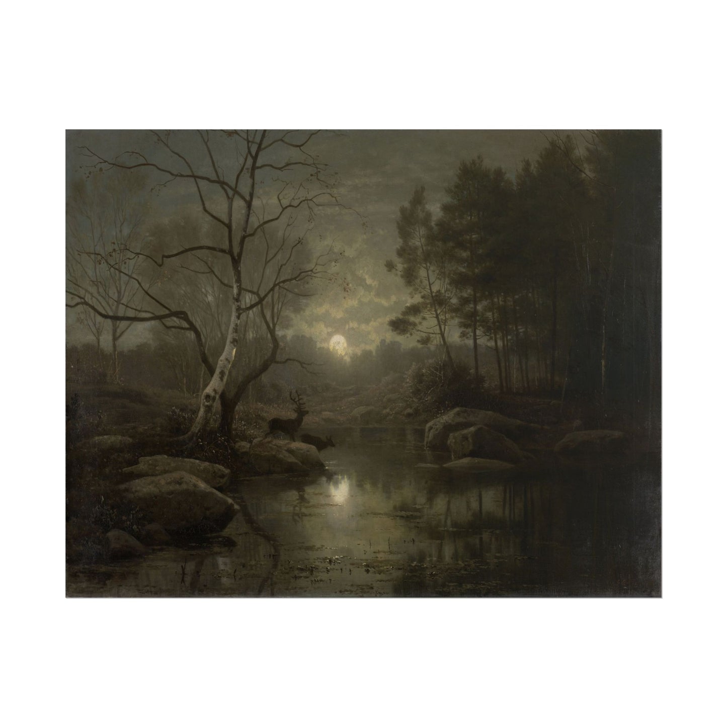 Moonlit forest landscape with a stag by a river at night.