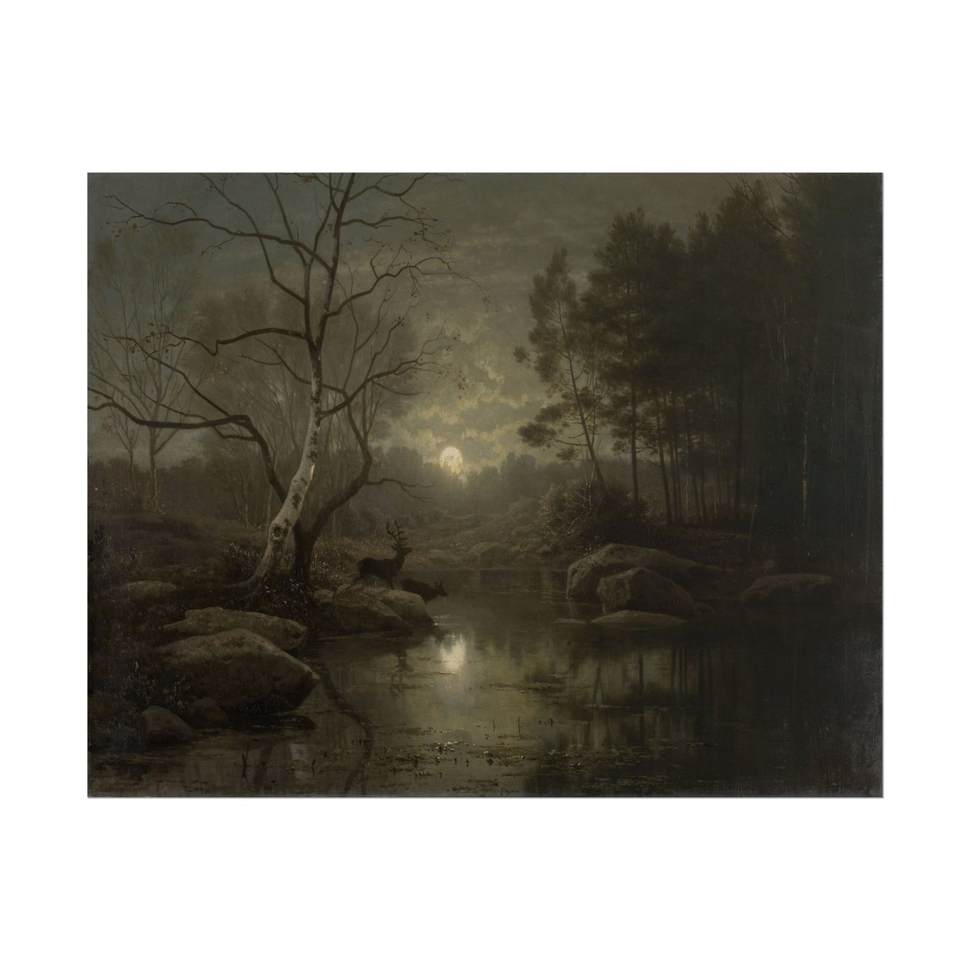 Moonlit forest landscape with a stag by a river at night.