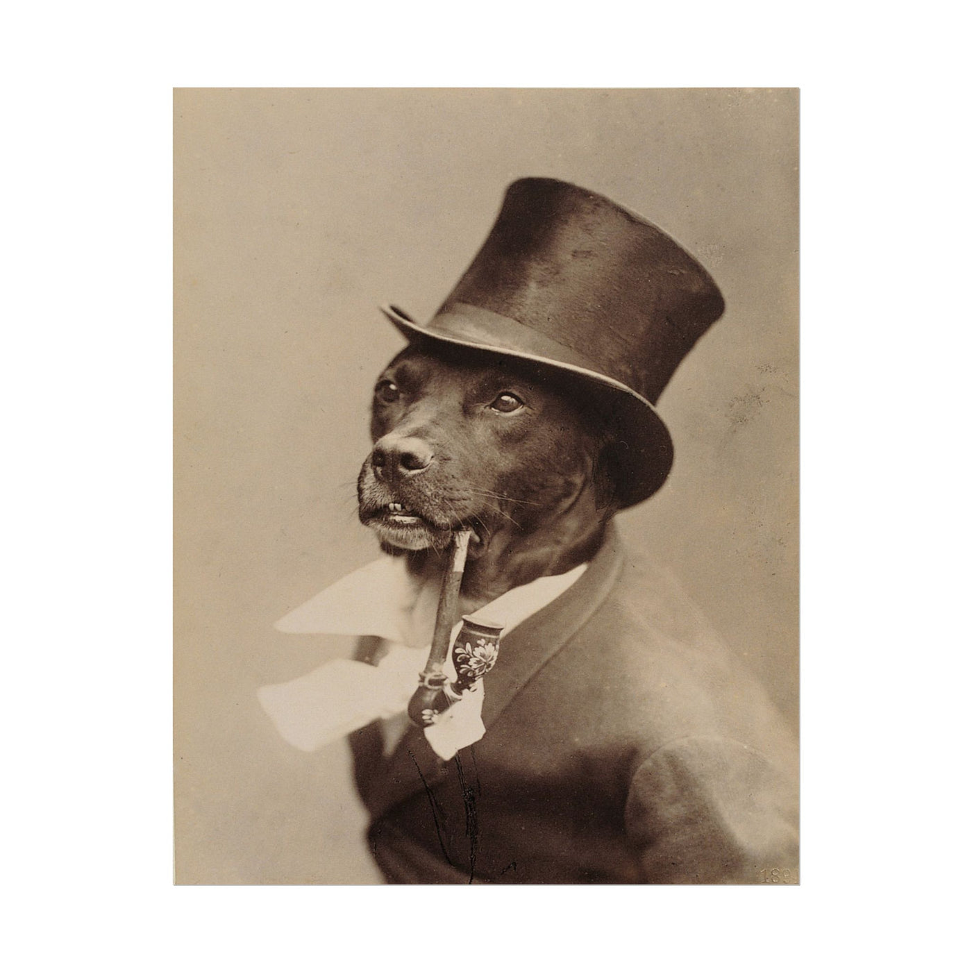 Gentlemen Dog 11″×14″