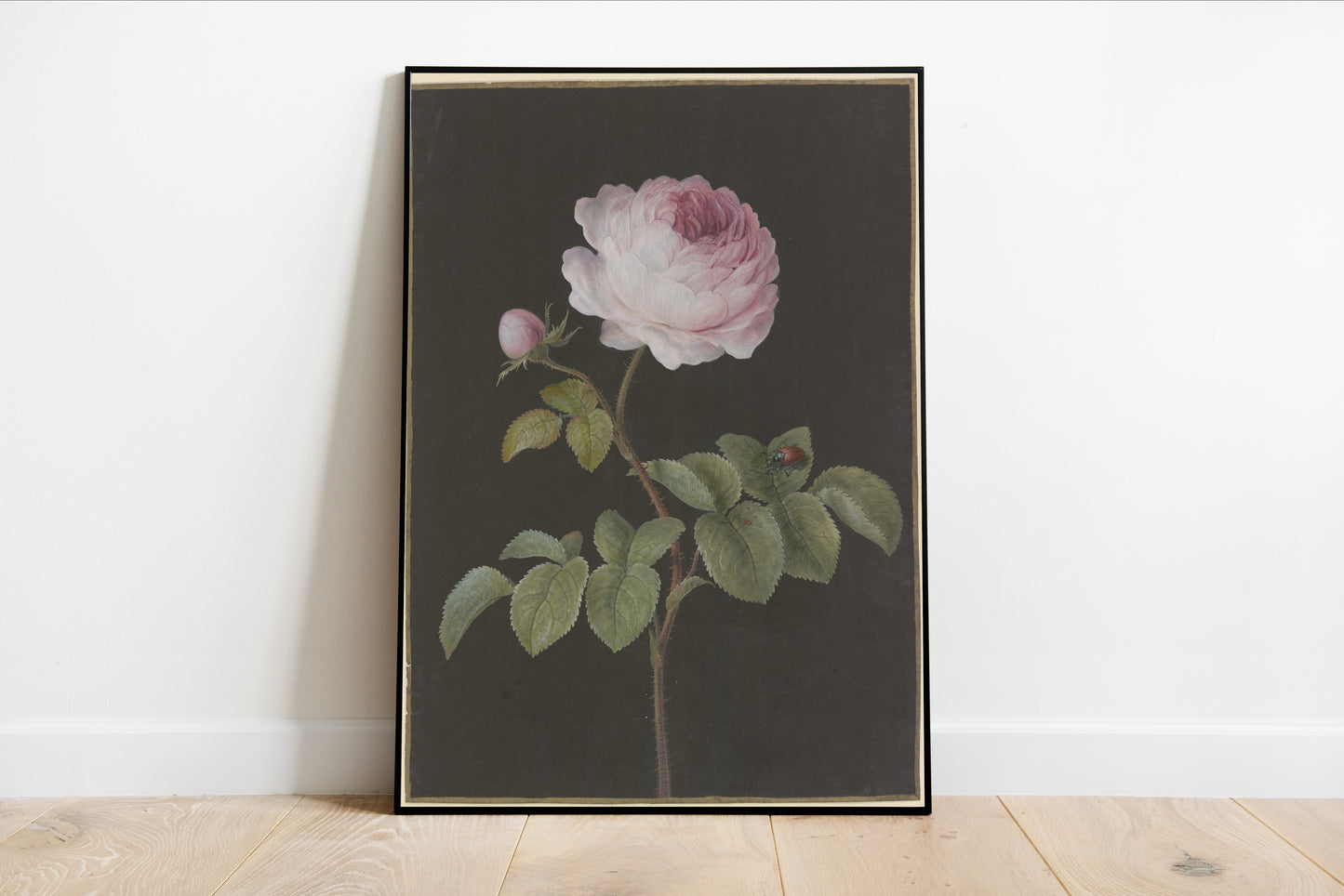 Vintage Rose with Beetle