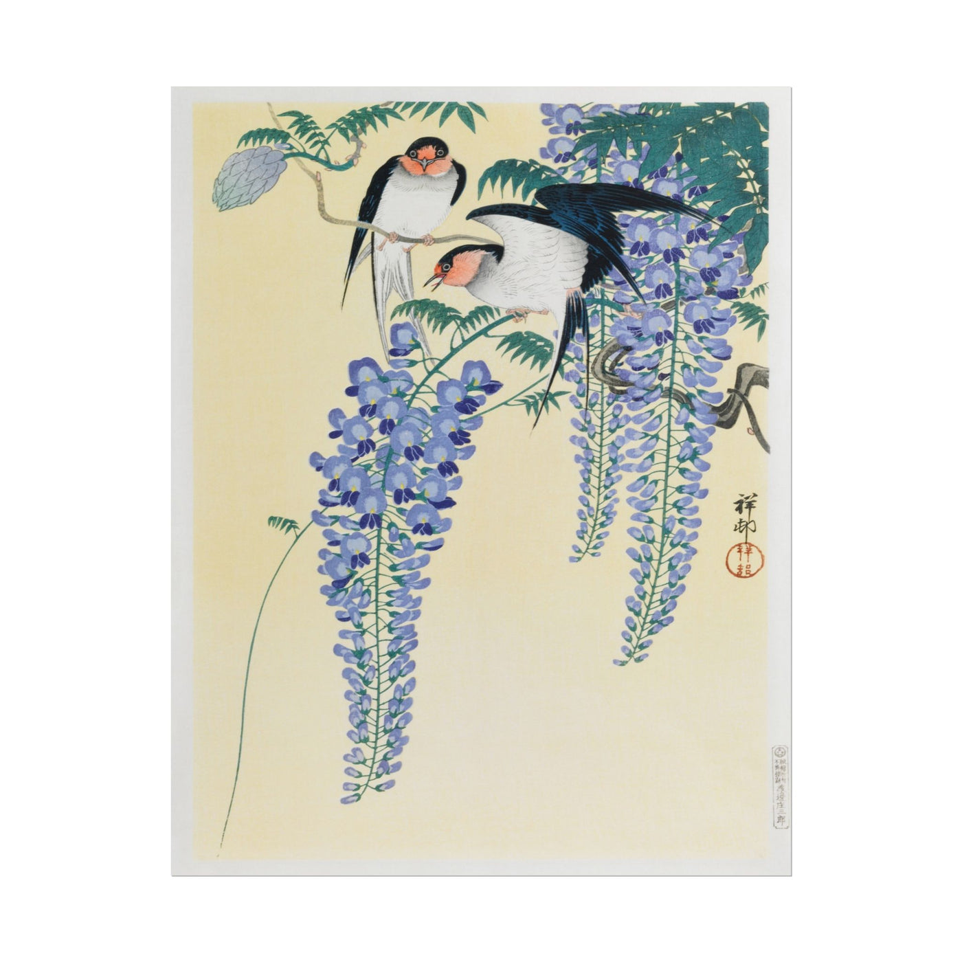 Swallows and Wisteria 11″×14″