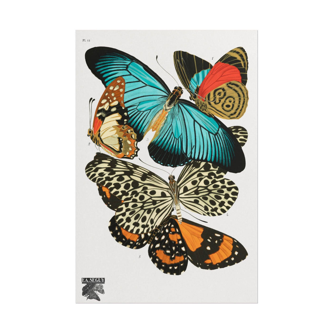 Vintage Butterflies 12″×18″