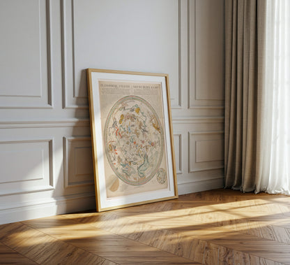 Celestial Map with Constellations