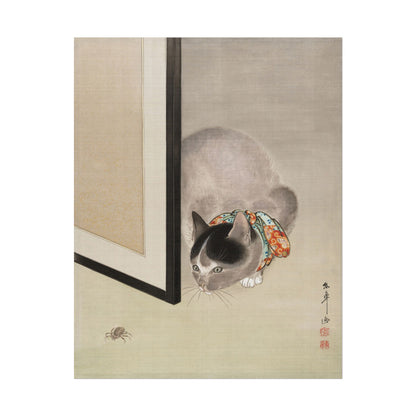 A playful cat in a kimono watching a spider closely.