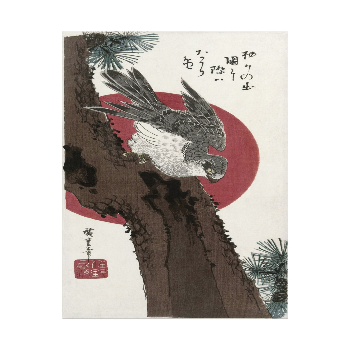 Hawk and Red Sun 11″×14″