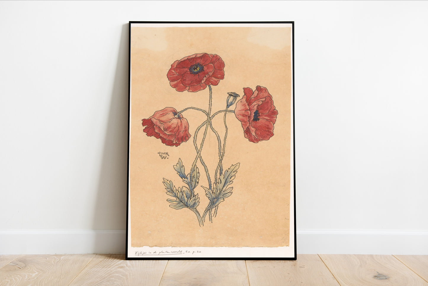 Vintage Poppy Flower