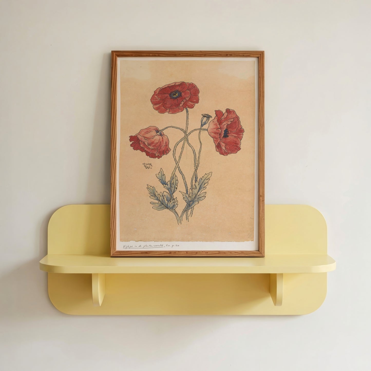 Vintage Poppy Flower