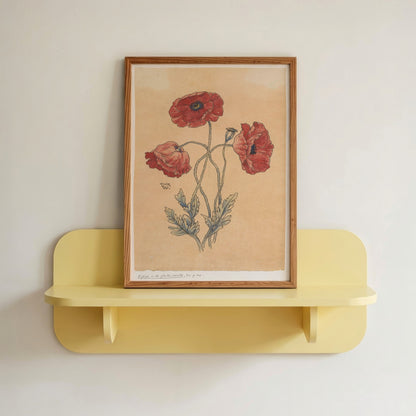 Vintage Poppy Flower