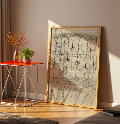 Neuron Drawing poster by Ramon Santiago y Cajal  - Neutral room decor with framed print