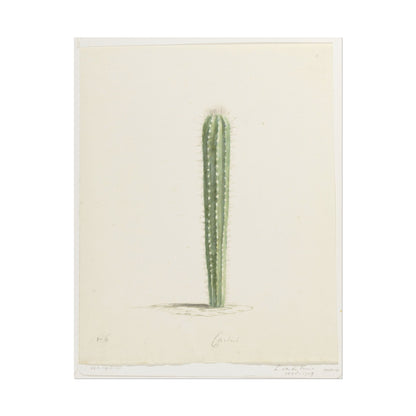 Cactus Botanical