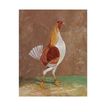 Breasted Fighting Cock