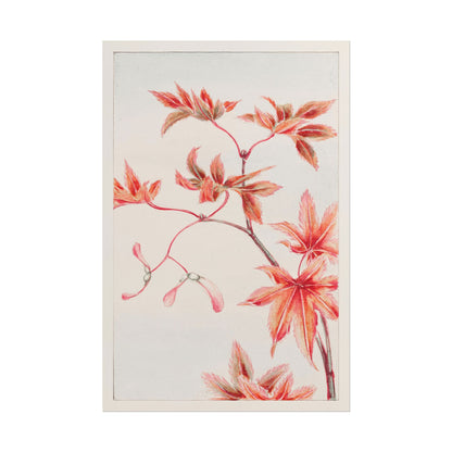 Delicate illustration of momiji maple leaves and seeds in vibrant colors.