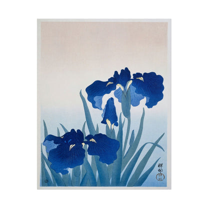 Iris Flowers poster by Ohara Koson - 11x14 inch print