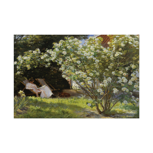 Woman in a white dress relaxing near blooming roses.