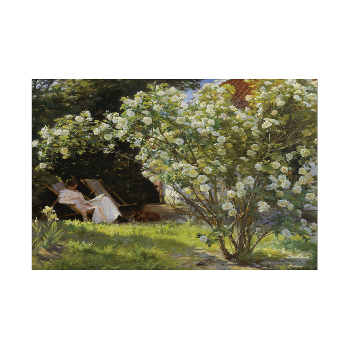 Woman in a white dress relaxing near blooming roses.
