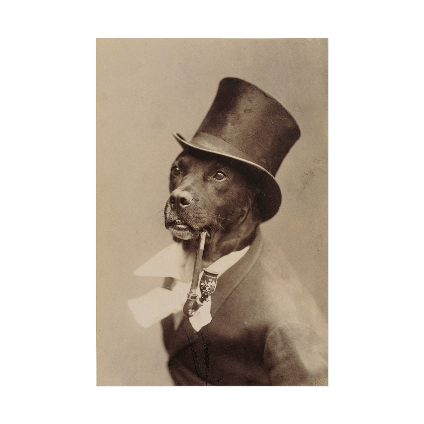 Gentlemen Dog 12″×18″