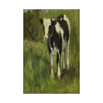 Black and White Cow Art Print