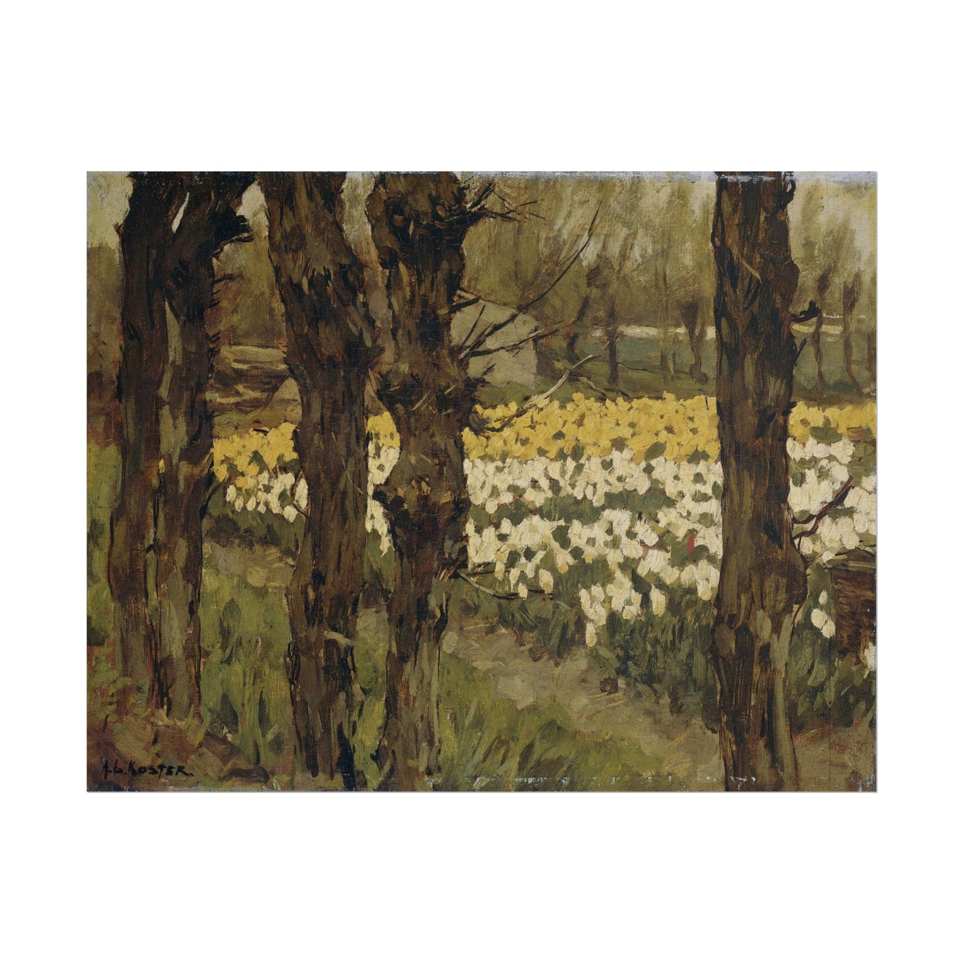 Spring Daffodil Field Art Print 14″×11″