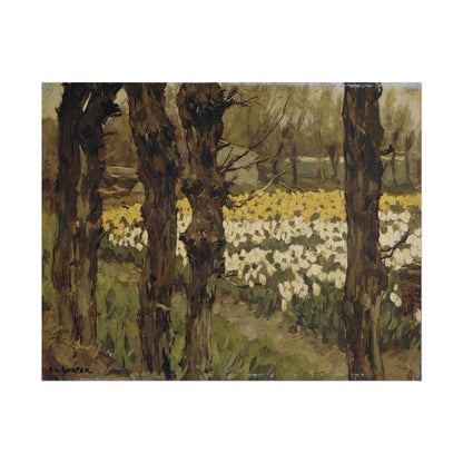 Spring Daffodil Field Art Print