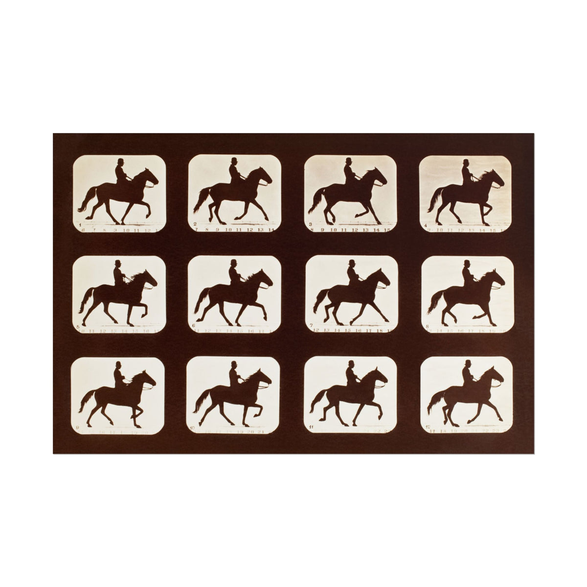 The Amble: One Stride in Eleven Phases