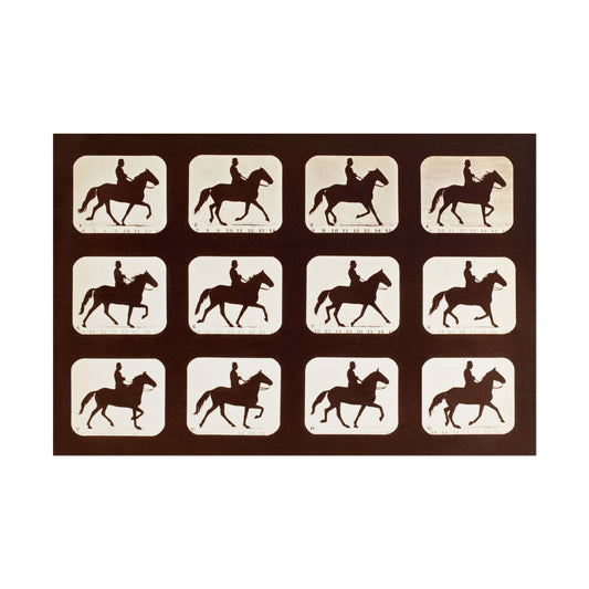 Sequential silhouettes of a horse and rider showing phases of motion.