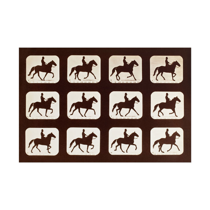 Sequential silhouettes of a horse and rider showing phases of motion.