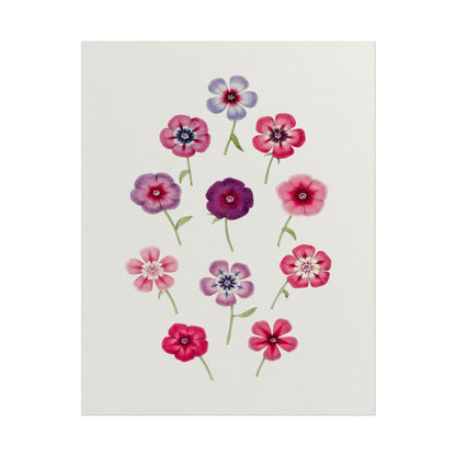 Illustration of colorful phlox flowers in pink and purple hues.