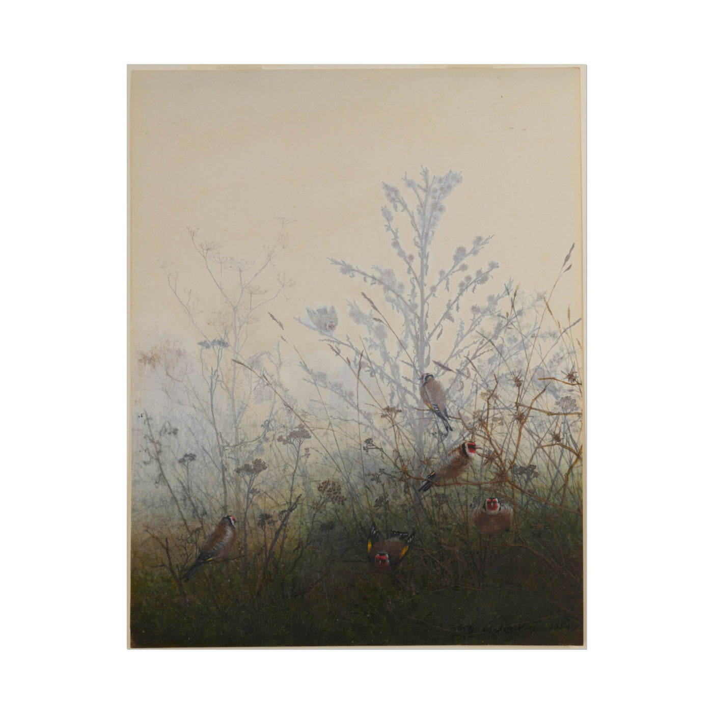 Goldfinches 11″×14″