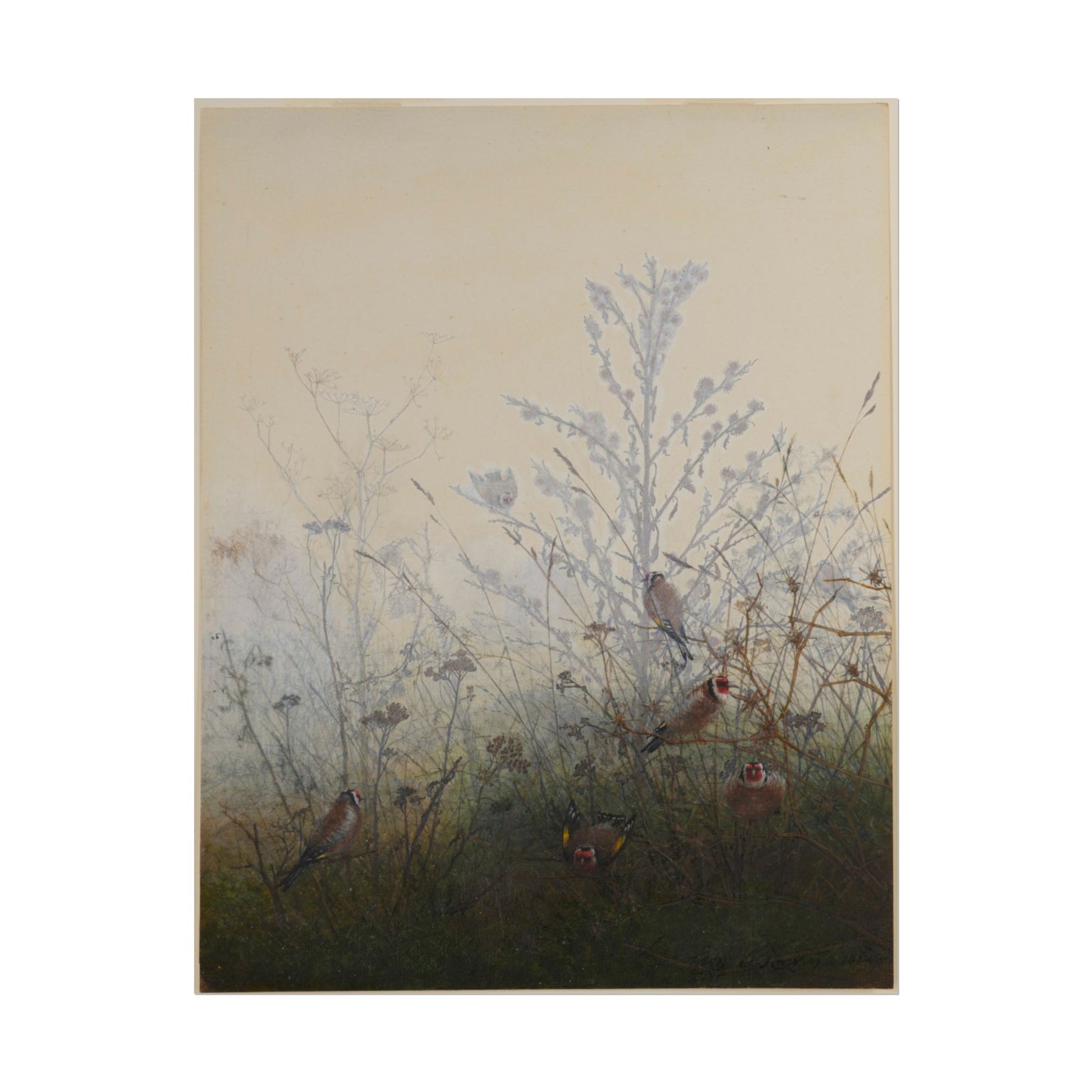 Delicate painting of goldfinches among soft grasses and mist.