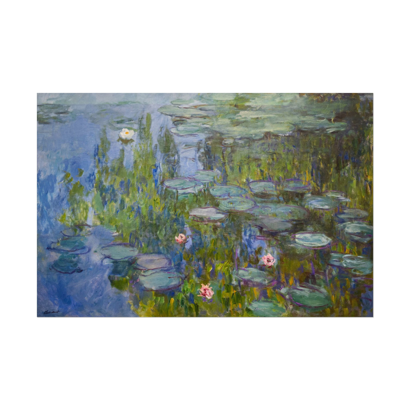 Water Lilies 18″×12″