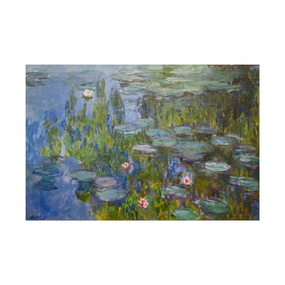 Water Lilies