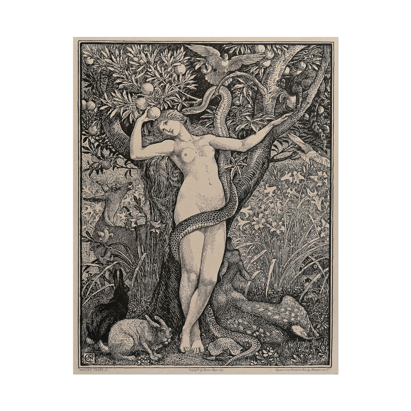 Eve and the Serpent 11″×14″