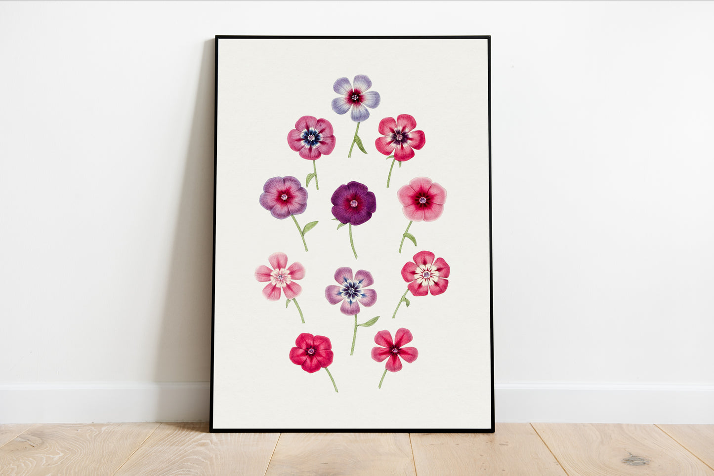 Hand Drawn Colorful Phlox