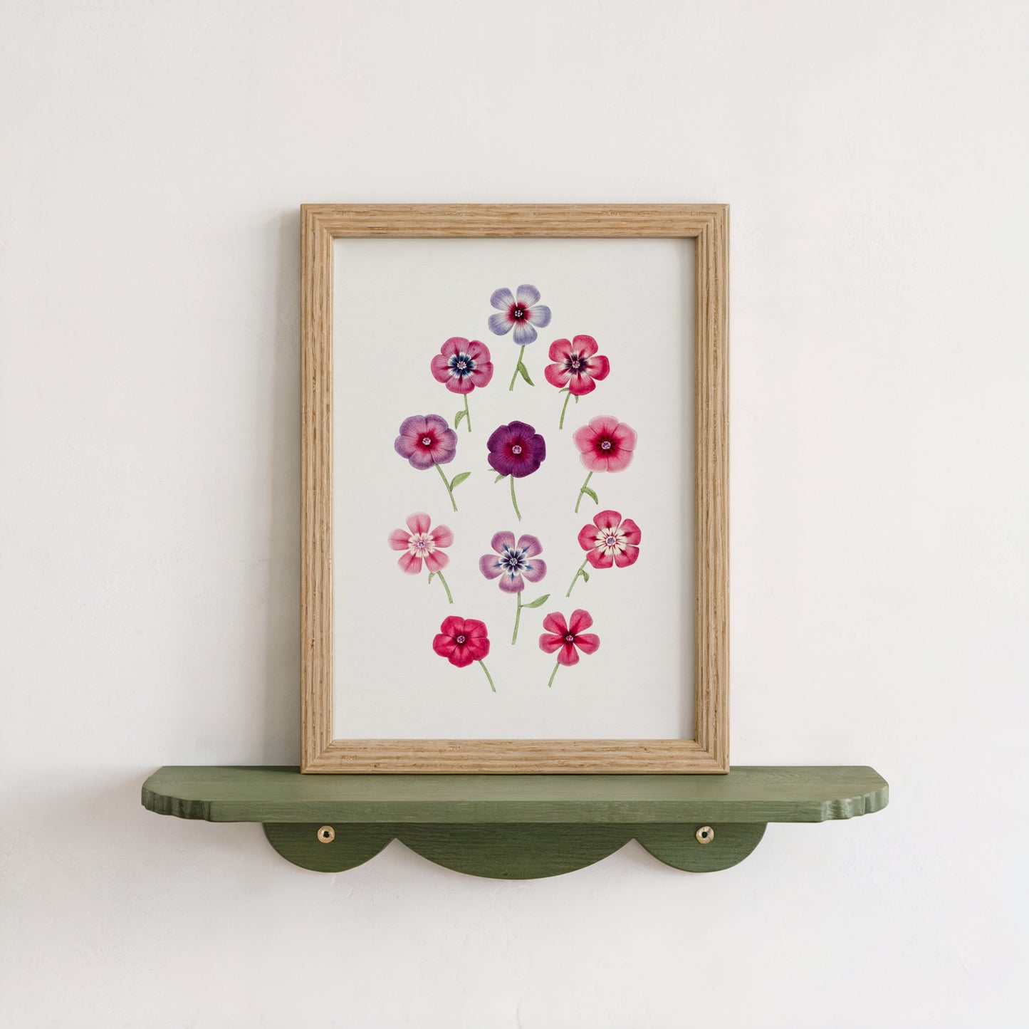 Hand Drawn Colorful Phlox