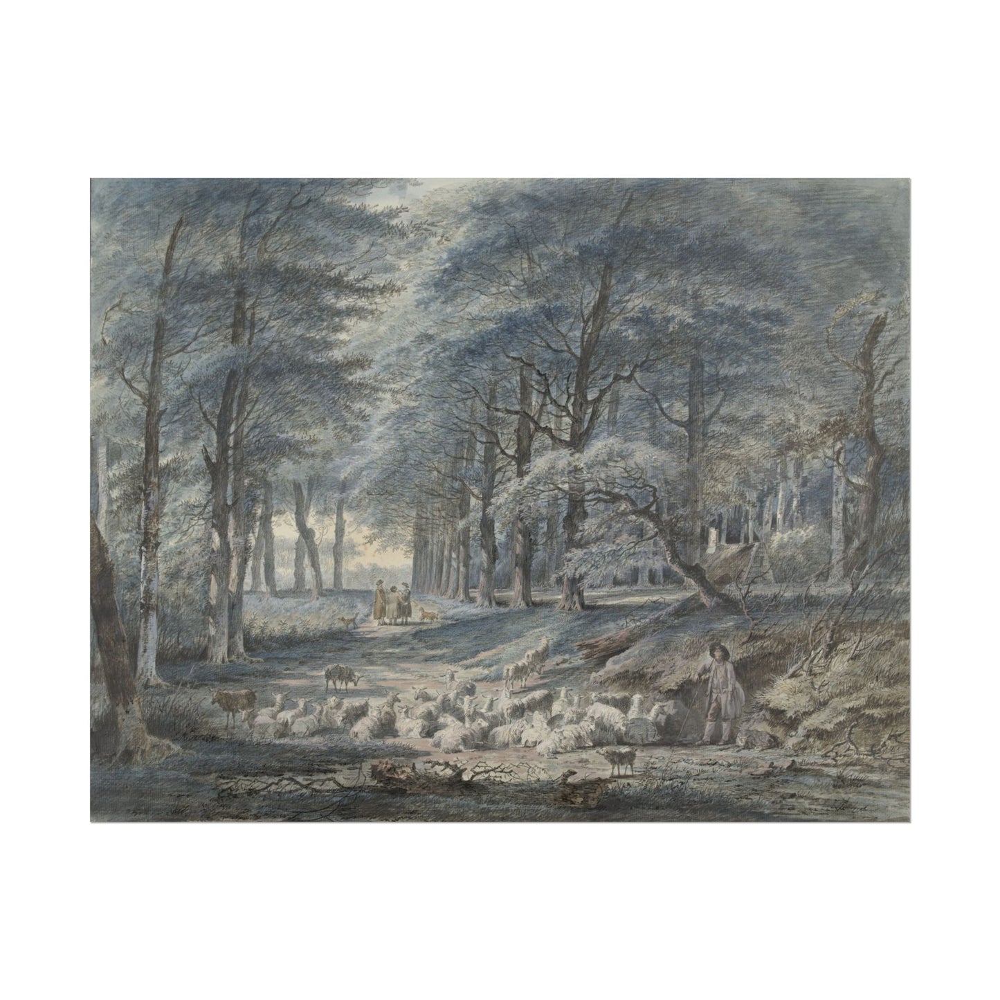 Serene Forest Landscape