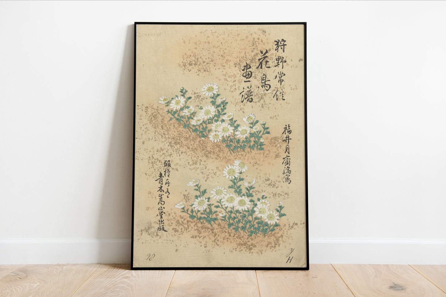 Japanese Chrysanthemum