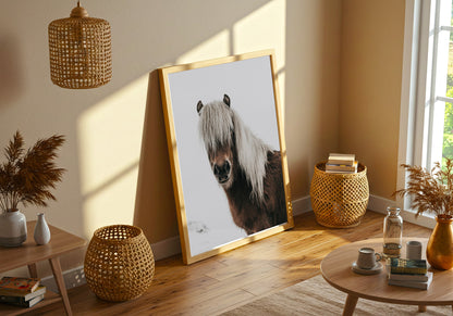 Horse Portrait in Snow