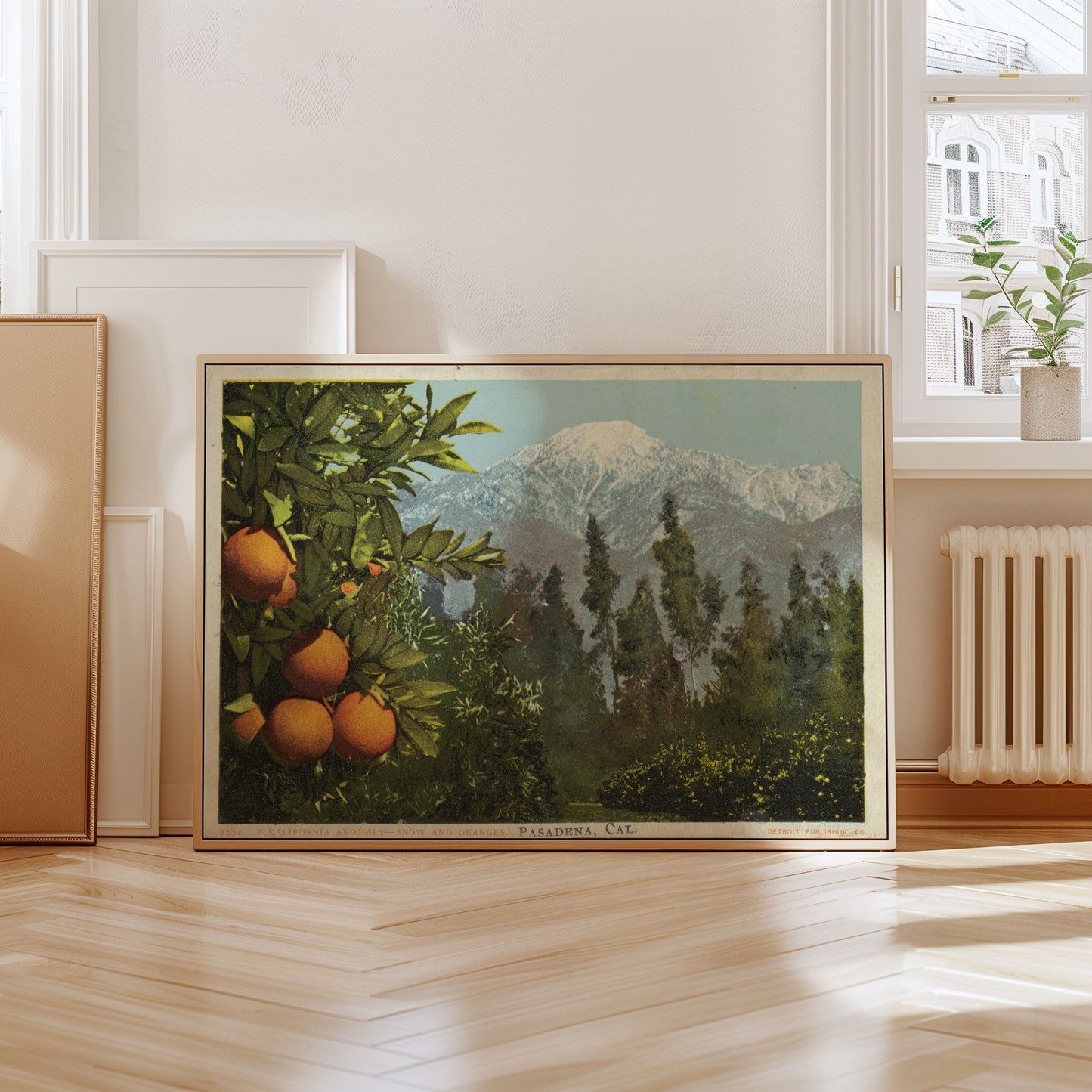 A California Anomaly, Snow and Oranges